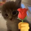 Emoji cat_rose