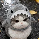 Emoji 651072angysharkkitty