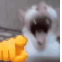 Emoji laughing_cat