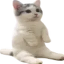 Emoji 9433catsittingverycomfortable