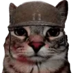 Emoji chat