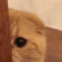 Emoji 136245sneakycat