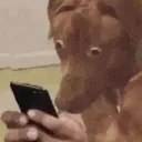Emoji Dog