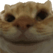 Emoji 02_chatoui