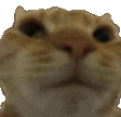 Emoji 02_chatnon
