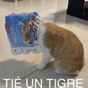 Emoji Ti1Tigre