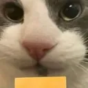 Emoji cheese