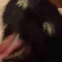 Emoji Meeeew
