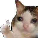 Emoji cat