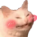 Emoji catblush