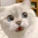Emoji catwhat
