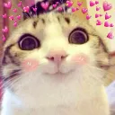 Emoji happylovecat