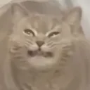 Emoji emoji_191
