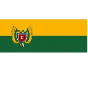 Emoji vlagaj