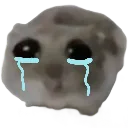 Emoji 99_crying_hamster