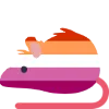 Emoji 55_lesbian_rat