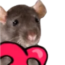 Emoji 54_love_rat