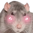Emoji 54_blush_rat