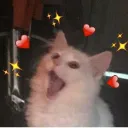 Emoji 99_lovee_cat