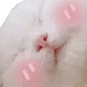 Emoji 99_blushing_cat