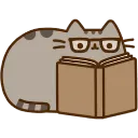 Emoji 77_book_pusheen