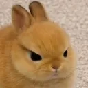 Emoji LP_Pacontent