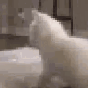 Emoji catdanse