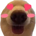 Emoji AlbertLovePR1D
