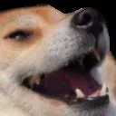 Emoji HAha