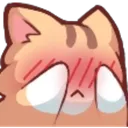 Emoji CC_Chat_Shy