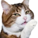 Emoji emoji_64