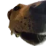Emoji snifsnif