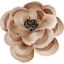 Emoji EXP_Brownflower