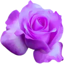 Emoji PurpleRose