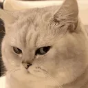 Emoji sideeyecatangry