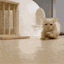 Emoji catrun