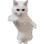 Emoji cat_dance