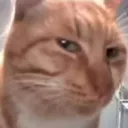 Emoji 59_catsus
