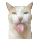 Emoji 5_bleh