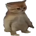 Emoji 5_cattall