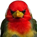Emoji oiseauronchon
