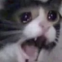 Emoji ahcat