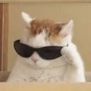 Emoji cat