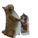 Emoji catmilk
