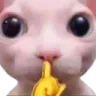 Emoji bingushh