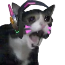 Emoji miaou_dva
