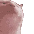Emoji cute