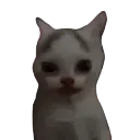 Emoji robert