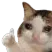 Emoji cat_like