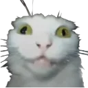 Emoji cathyn